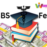 MBBS Fees
