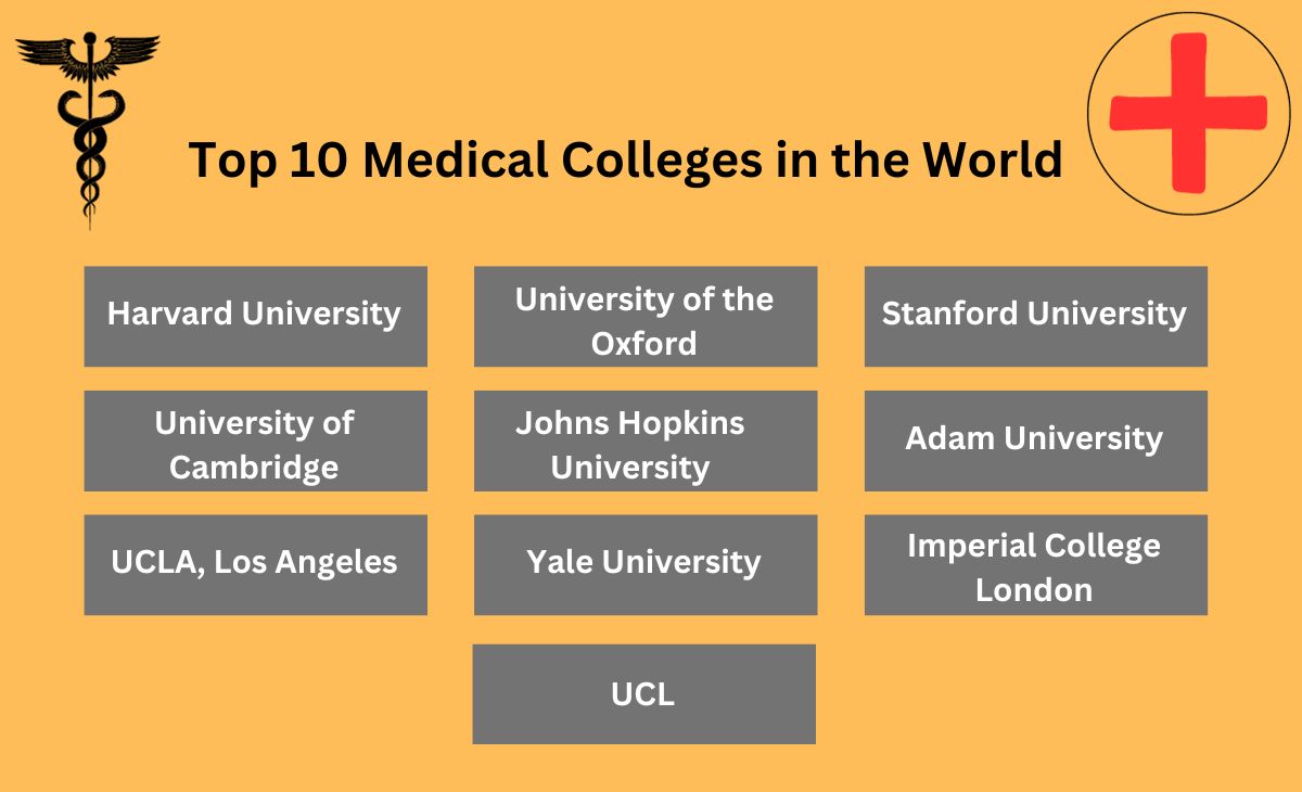 Top 10 Medical Colleges in the World 