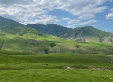 Grass Lands Of Kyrgyzstan